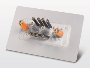 Phoenix Contact releases CES Multigates cable entry system