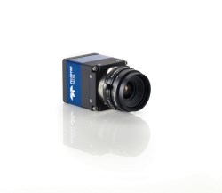 Teledyne DALSA releases 2M and 4M monochrome Cameras