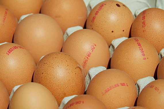 What Eggs Can Teach Us About Traceability