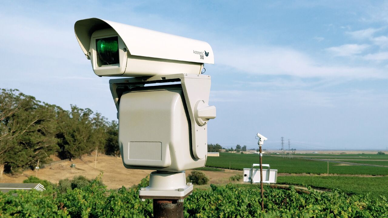 Thumbnail for Bird Control Group uses autonomous lasers to repel birds for California vineyard