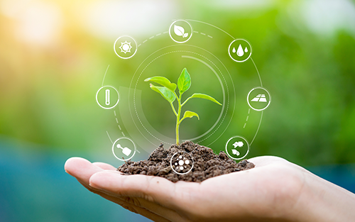 Thumbnail for Need for Real-time Insights Drives Agriculture Technology Market