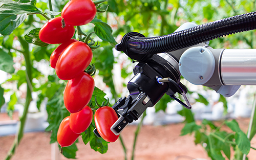 Why Bearings Will Be Essential to Agriculture 4.0