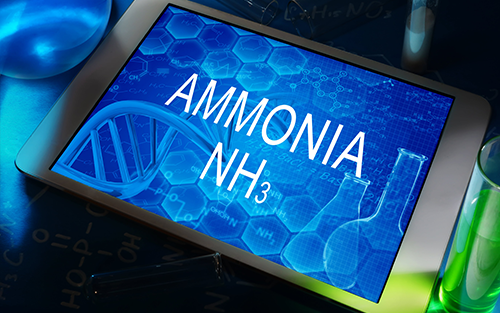 Hanwha and INEOS Agree to Study Construction of USA Low-Carbon Ammonia Facility