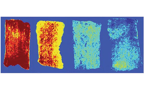 Hyperspectral Imaging in Food Inspection Requires the Processing Speed of CoaXPress Frame Grabbers