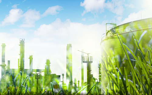 Case Study: How an Autonomous Machine Vision System Increased Accuracy and Cut Waste