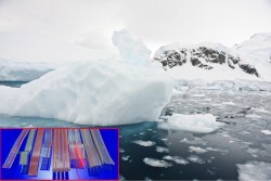 Cicoil introduces Silicone Cables for Arctic Conditions