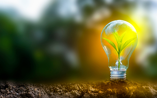 Bread Financial Supports The Nature Conservancy to Fund Clean Energy Projects in India