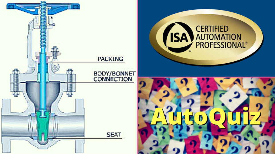 AutoQuiz: Which Control Valve Style Is More Likely to Develop a Blockage?