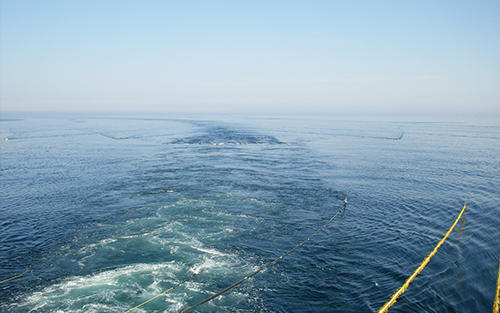 Thumbnail for Energy Saving Advantages of Subsea Controls a Significant Contributor to Market Growth