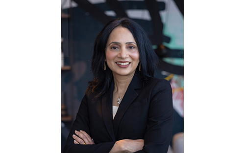 Sowmya Ananthachary Joins Dematic as Vice President of Americas Software