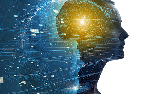 TRICK: An Easy Acronym to Conceptualize Digital Twin Technology