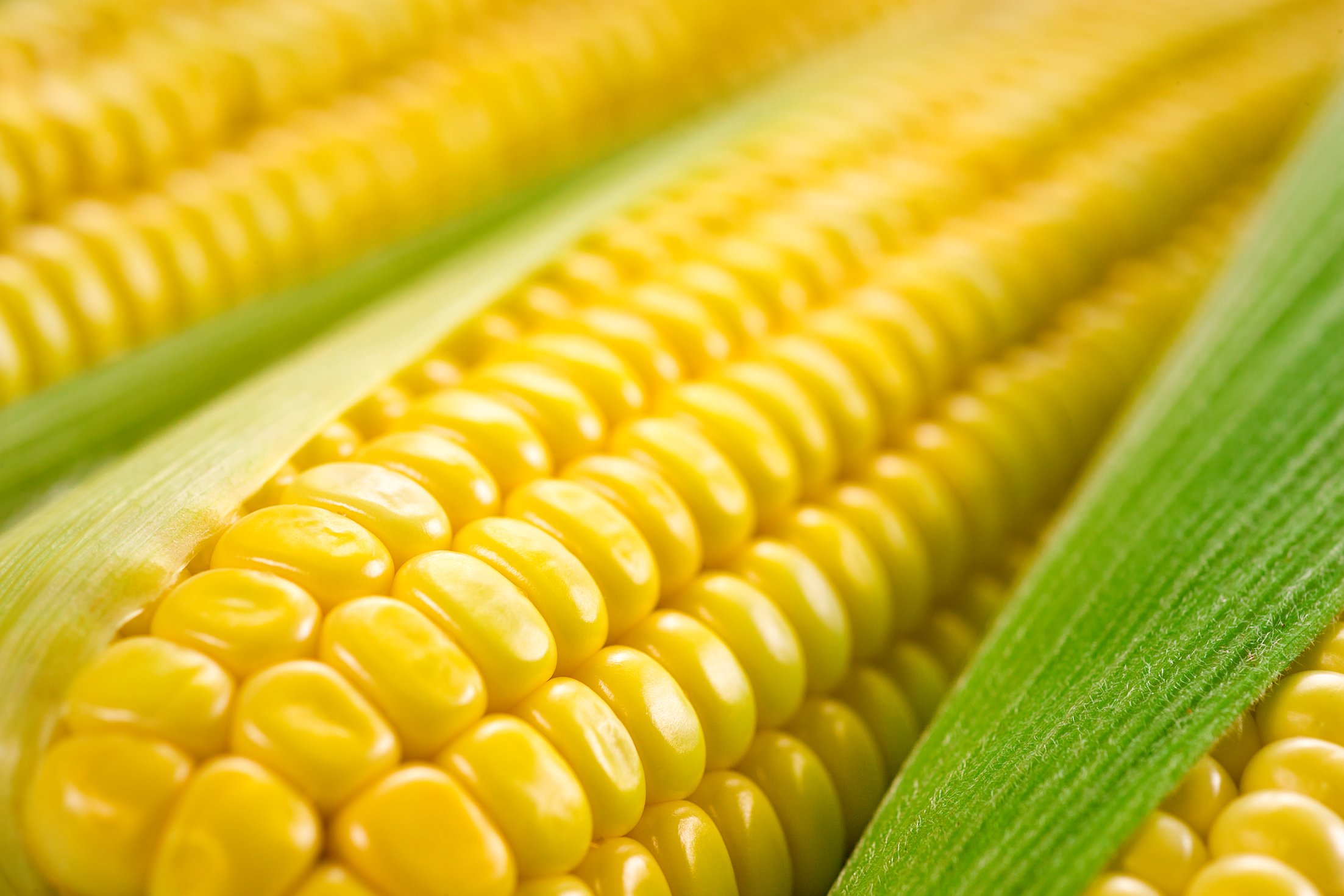 Simple Strategies for Optimizing Ethanol Plants