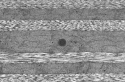 Thumbnail for FBGS announces DTG 80µm sensing fiber
