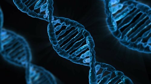 Thumbnail for Automation and Gene Therapy