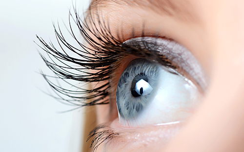 Thumbnail for Seeing is Believing: Mikrotron Camera Used in Developing Pupil Tracking Device for Eye Research