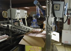 Your New Robot Colleague Is Coming Out of Its Cage