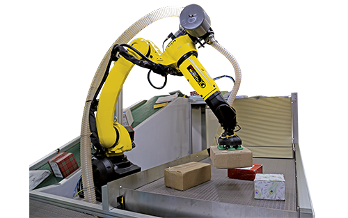 FANUC America & Plus One Robotics Deliver Automation Solutions to E-commerce Fulfillment Customers