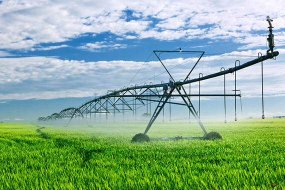 The Farm Of The Future is Here