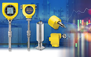 Thumbnail for Air/Gas Flow Meter Measurement ROI Secrets