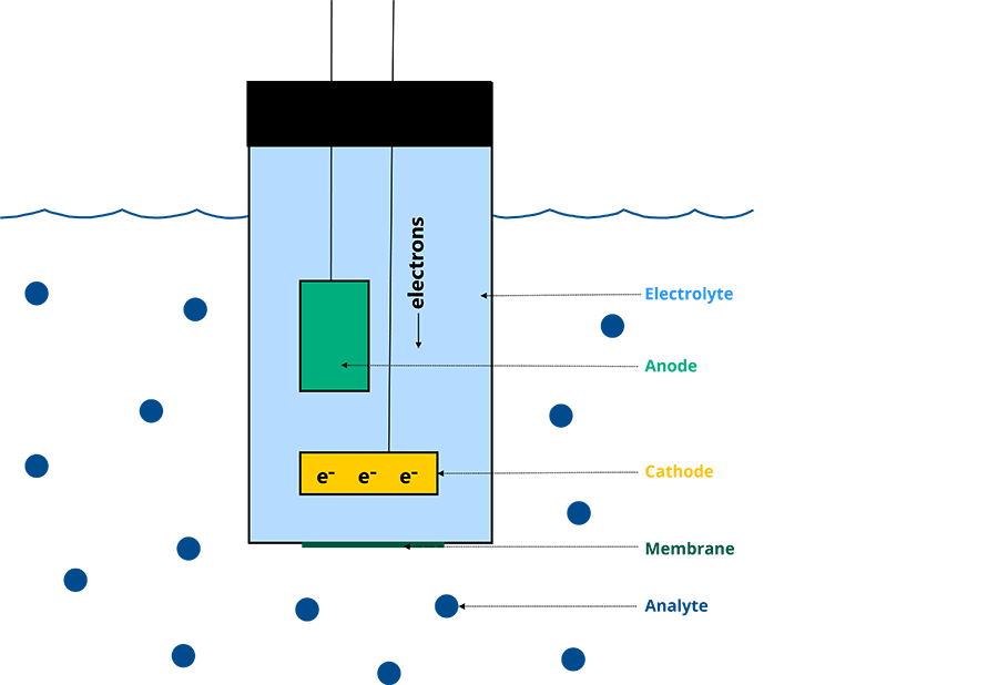 Figure 1: Amperometric sensors measure specific chemical species, such as dissolved oxygen, by monitoring current flow from electron transfer between the process fluid and sensor components across a selectively permeable membrane.