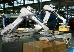 FKI Logistex introduces Robotic Palletizing System