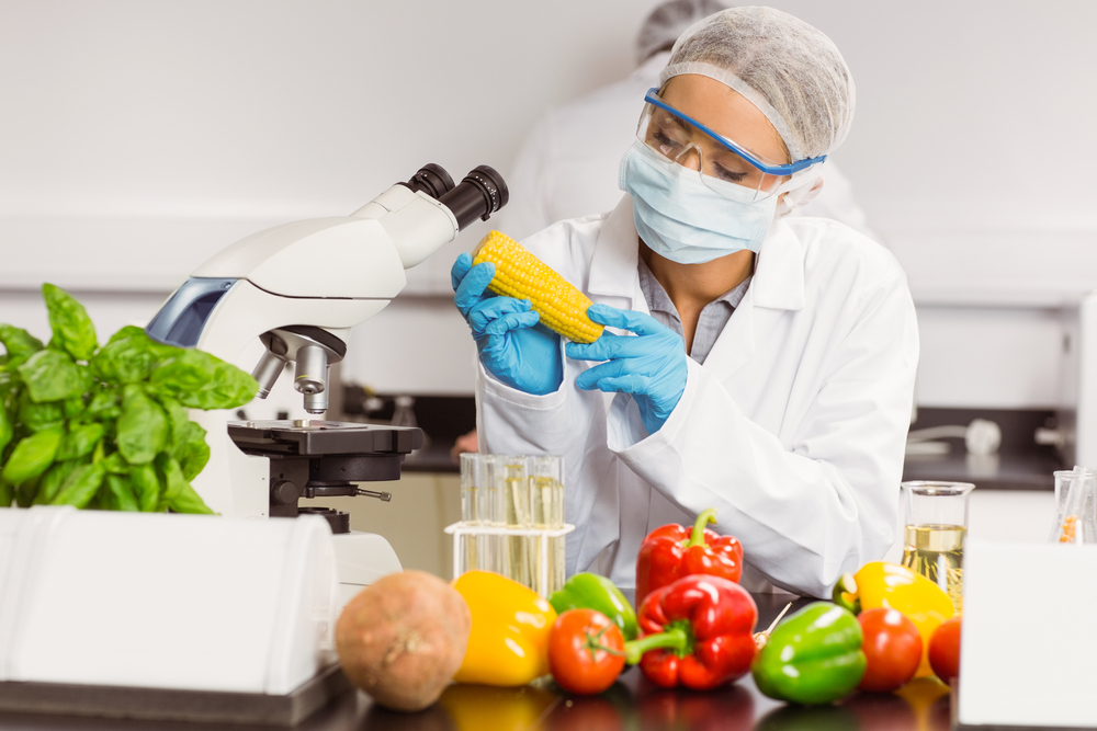 Digital Transformation in the Food and Beverage Processing Industry