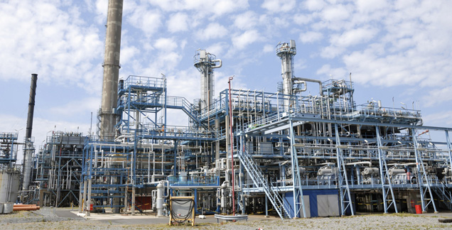 How Can Asset Management Strategies Improve Plant Efficiency?