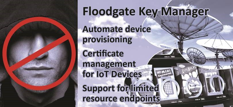 Thumbnail for Icon Labs announces Floodgate Key Manager for automated credentialing