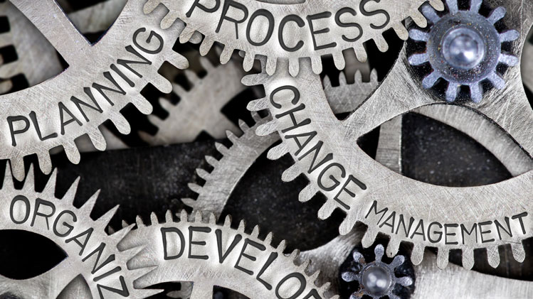 Thumbnail for Leadership Transition Is a Process Not a Transaction