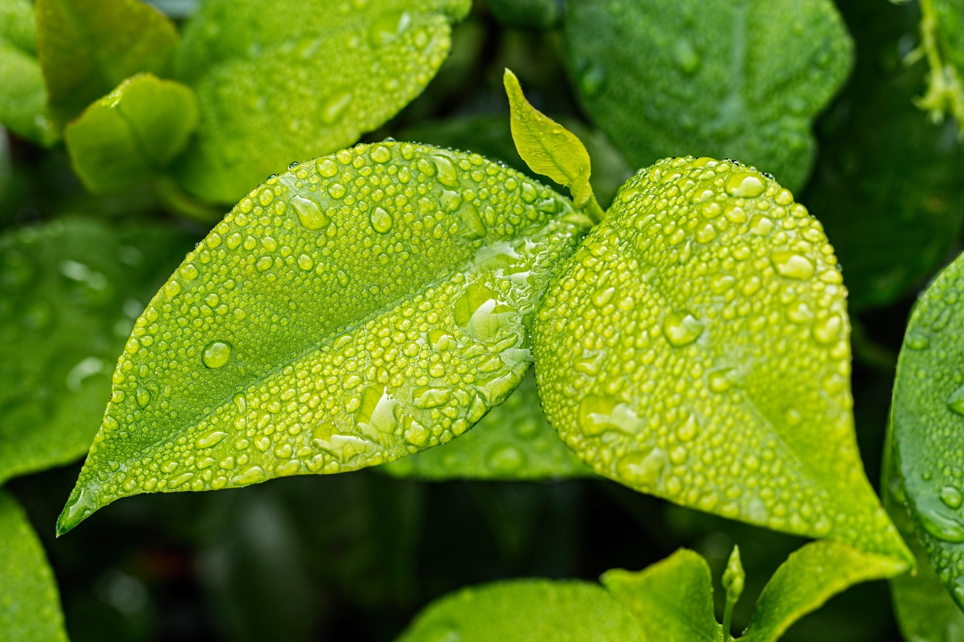 Thumbnail for 5 Ideas to Help 'Green' the Automation Industry—and Make Some Green