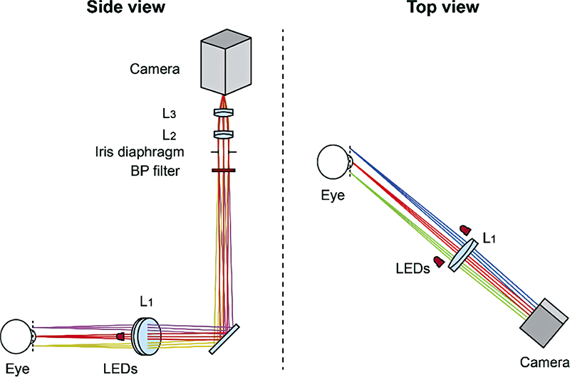 Pupil tracker optical setup showing Mikrotron camera, interferometric band-pass filter, and achromatic doublets (L1 to L3 ). Camera is tilted relative to the optical axis to compensate for the 45° object plane tilt which facilitates integration with ophthalmoscopes or other devices (Courtesy of Stanford University).
