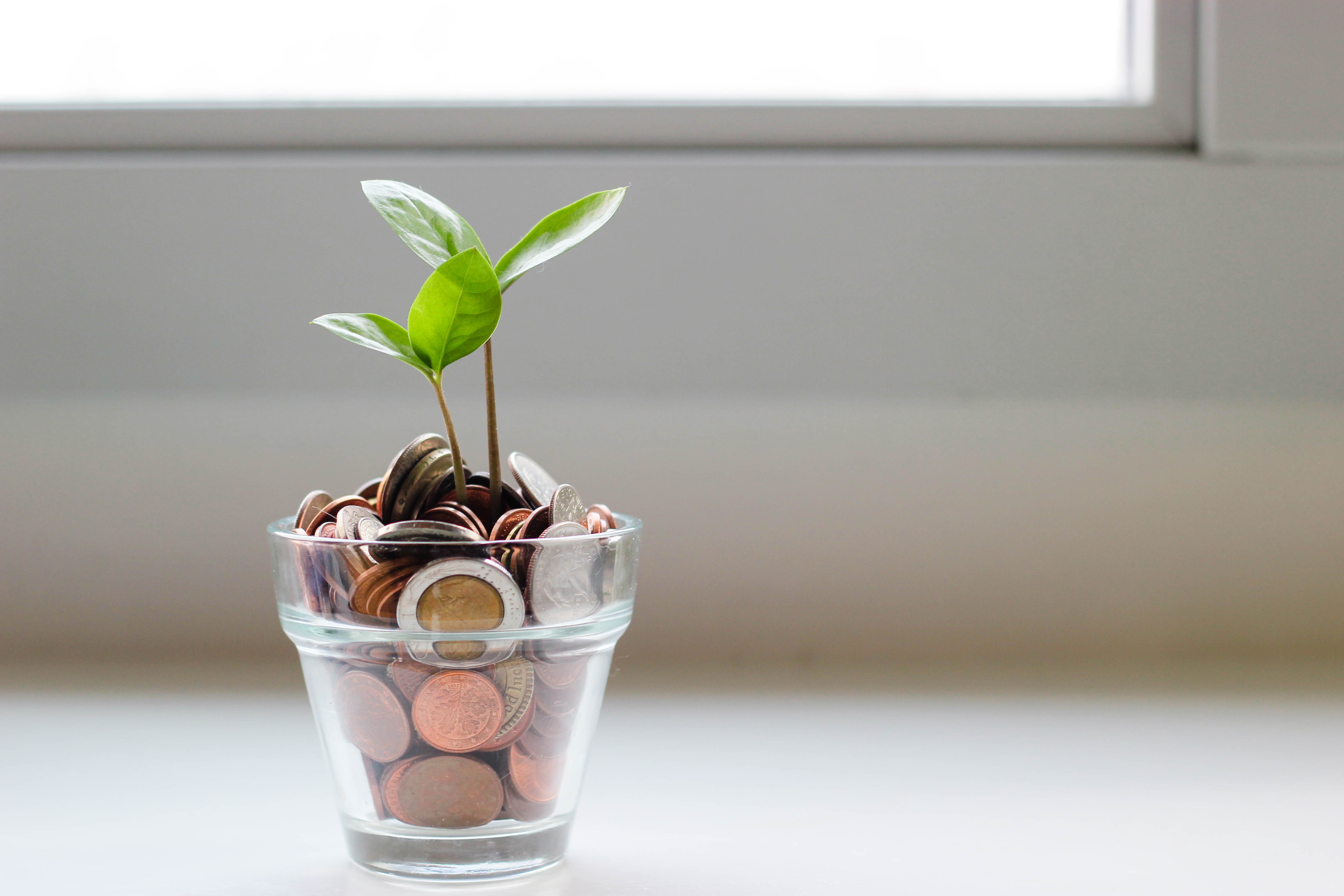 money-pot-saving-affordable