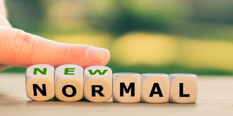 Thumbnail for The New Normal