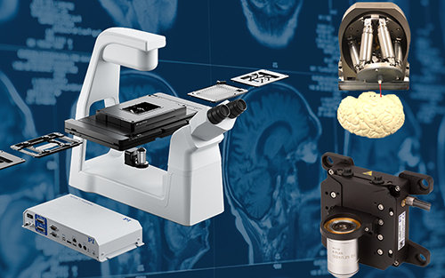 Thumbnail for Explore PI's High-Precision Motion Control Solutions for Advanced Life-Science Research at Neuroscience 2025