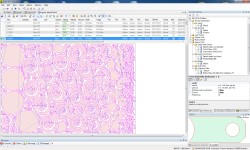 ESAB updates Columbus III CAD/CAM programming software