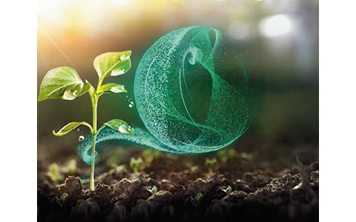 Digitalization Accelerates Sustainability in the Process Industry