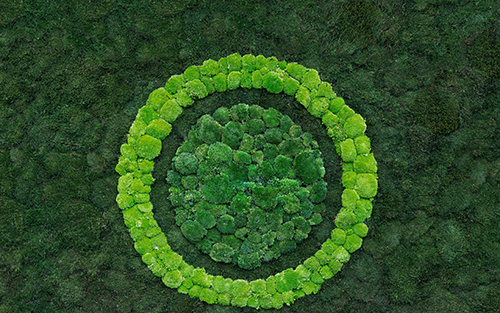 Siemens Achieves Strong Progress on Sustainability Targets