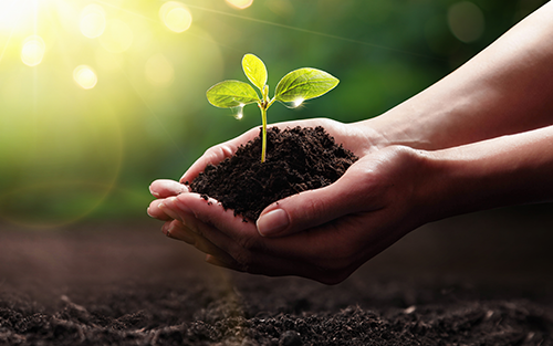 Thumbnail for 2024 ARC Forum: End Users Share Sustainability Driven Business Objectives