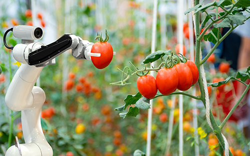 Robotics and Automation Boast High Order Intake But Suffer From Disrupted Supply Chains