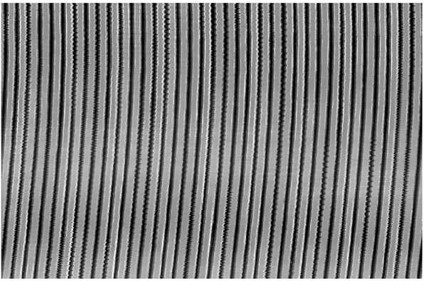 voice-o-graph-disc-grooves-distinct