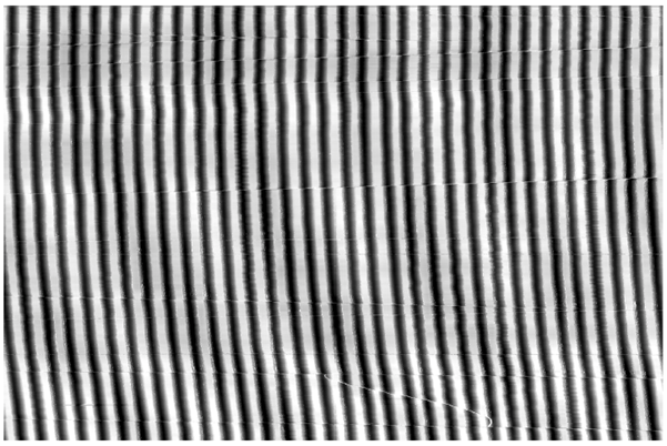 Echoes of the Past: Restoring a 1946 Voice Through Signal and Image Processing