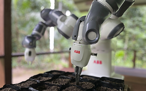 World’s Most Remote Robot Automates Amazon Reforestation Project
