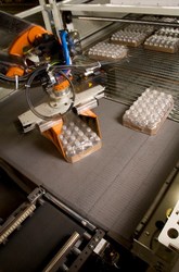 Intelligrated announces Robotic Arm Retrofits for Alvey Palletizers