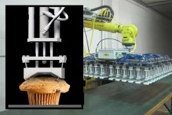 SAS Introduces Robotic Muffin Depanner