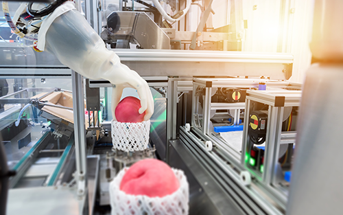From Large Payloads to Micro Payloads to Mobility: New Trends in Cobots