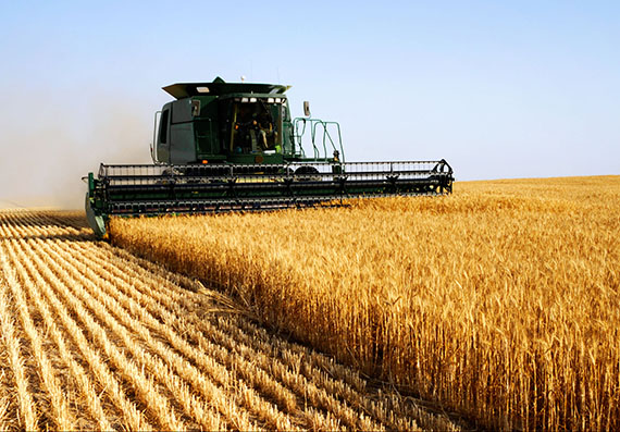 Automation for Sustainable Development